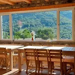 Dritan Tethorja Pensión 4*
