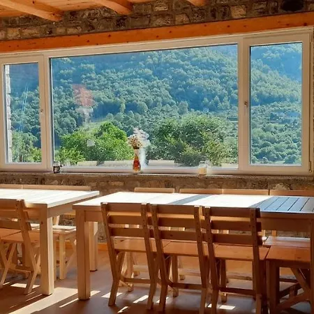 Dritan Tethorja Pensionat 4*
