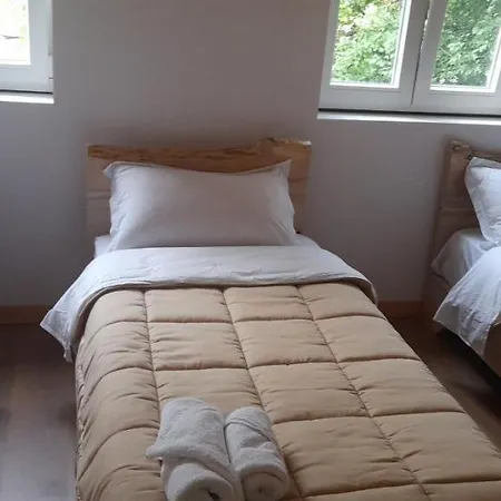 Guest house Dritan Tethorja 4*