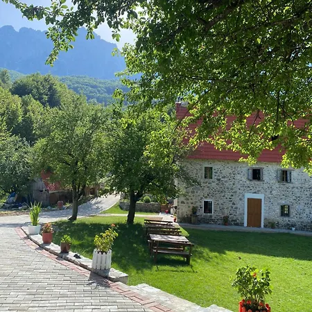 Casa de hóspedes Dritan Tethorja 4*