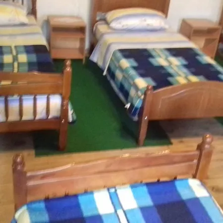Guest house Dritan Tethorja 4*
