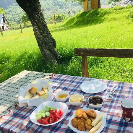 Dritan Tethorja Guest house