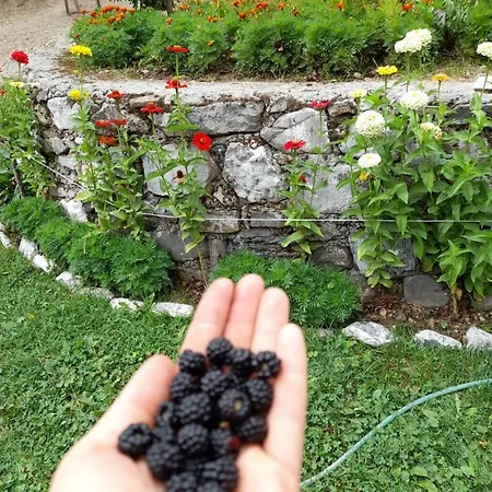 Dritan Tethorja Affittacamere Theth