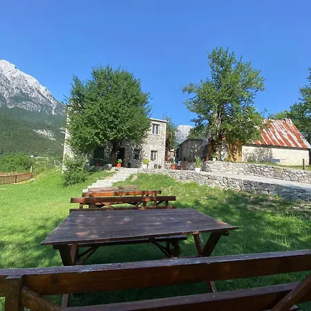 Casa de hóspedes Dritan Tethorja 4*