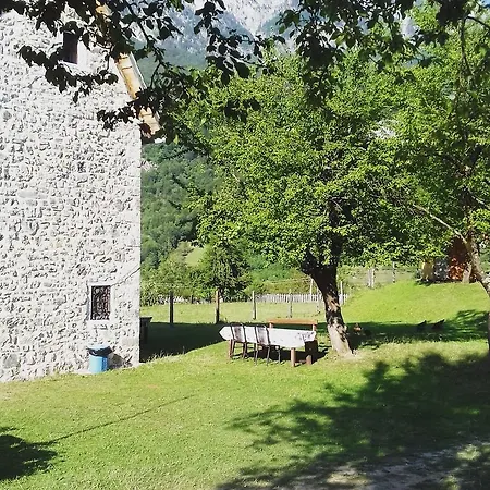 Dritan Tethorja Casa de hóspedes 4*