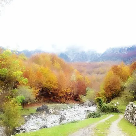 Dritan Tethorja Penzion