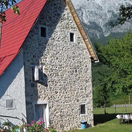 Dritan Tethorja Guest house