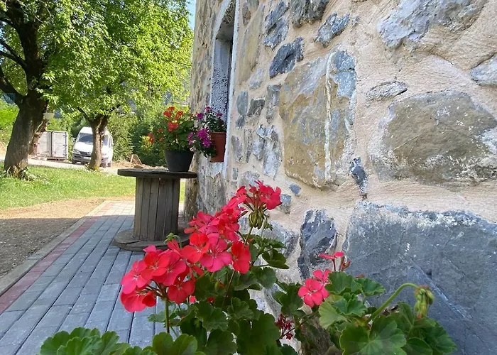 Dritan Tethorja טת