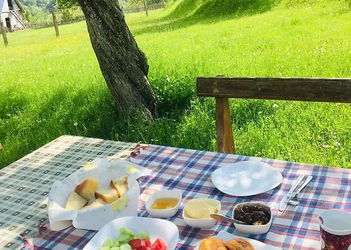 Dritan Tethorja בית הארחה