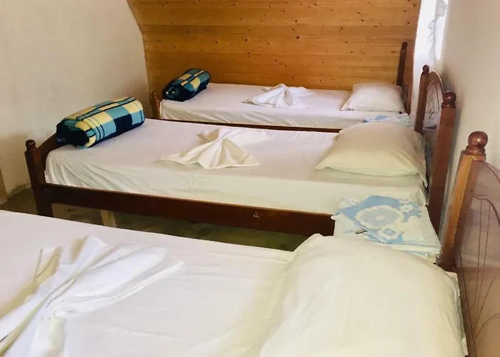 בית הארחה Dritan Tethorja טת